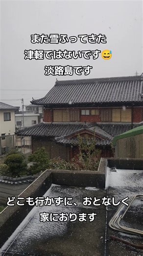 淡路島の冬: 雪と寒さを楽しむアジング