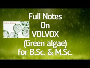 VOLVOX (Green algae) Thallus Structure & Lifecycle for NEET, B.Sc. & M.Sc. by Dr. A.K. Sharma