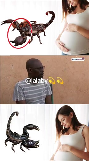 Vidéos de 22222222 (@allopapavoicila0) avec son original - 22222222