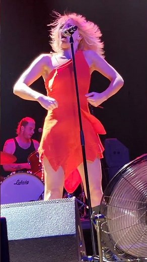 Amyl and the Sniffers (live)