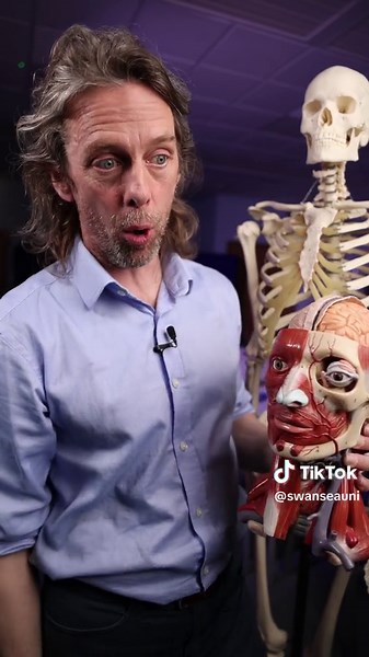 Swansea University on TikTok