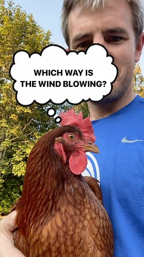 1.6K views · 11 comments | Can a 3d printer help with chicken meteorology? #3dprinting #chicken | Nerd Dad Life | Facebook