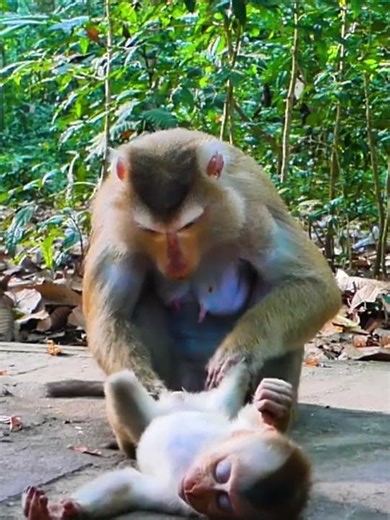 #cutest# funny#best video#awesome activities 39