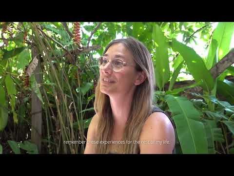 Suriname Revealed 🇸🇷 | Untouched Wilderness, Wildlife & Eco Tourism with BlueBirdToursTravel