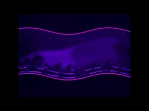 Gracie Films Treehouse of Horror in Mike Paul's G Major