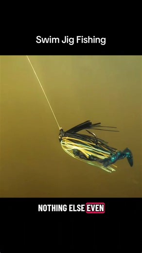 Mastering Swim Jig Fishing Techniques
