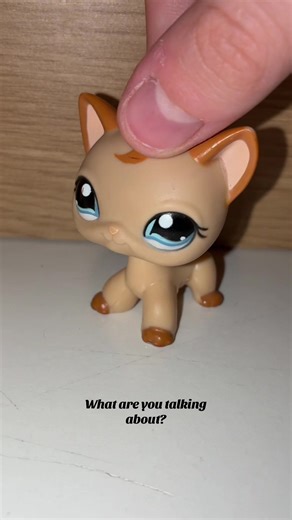 poop #lps #lpstiktok #littlestpetshop #littlestpetshoptiktok #fyp