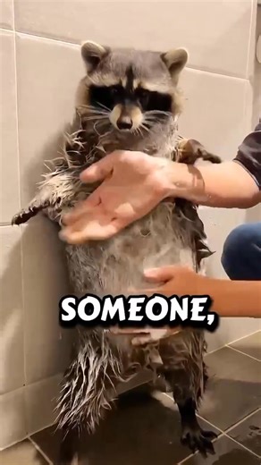 This Little Puppy Couldnt Walk puppy puppiesoftiktok puppydog | Animal Groups