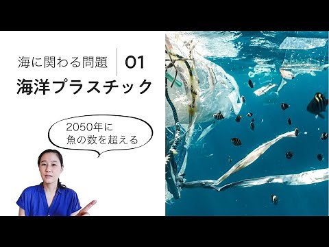 海に関わる問題 │ 海洋プラスチックゴミ 生分解されずに増え続ける海のプラスチックゴミ