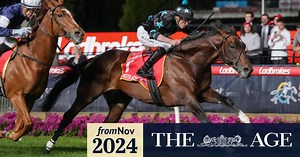 Who the experts are tipping in Tuesday’s Melbourne Cup