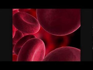 Hydrostatic Pressure & The Cardiovascular System