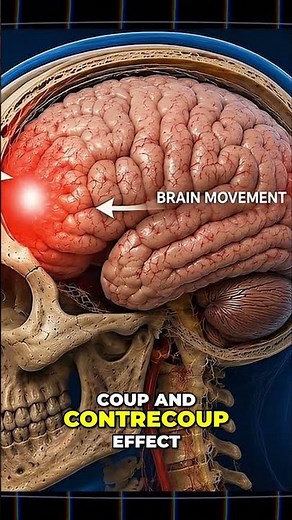 16 Concussions: The Brain Damage You Can't See