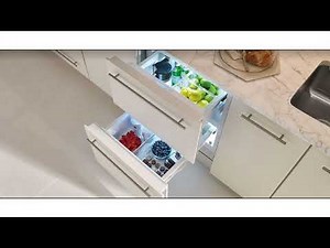 Sub-Zero Designer Series Refrigeration