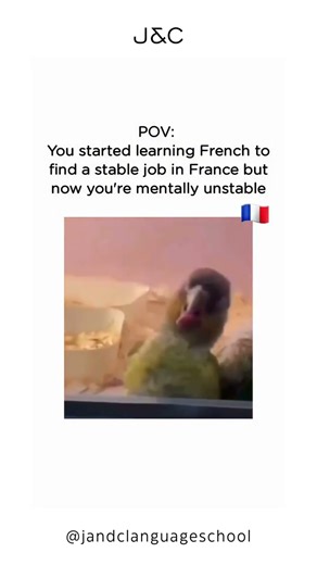 💬 Everyday French You’ll Actually Use!