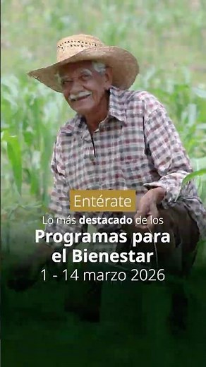 Entérate: calendario de pagos, registro a becas y más de los #ProgramasParaElBienestar. 💬