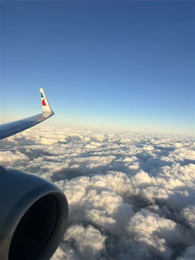 Epic Fall: A Flight Attendant's Embarrassing Moment