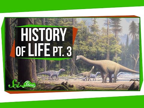 A Brief History of Life: Dinosaur Time!