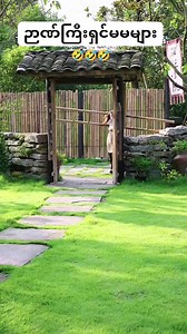 haha | Mobile Firmware update