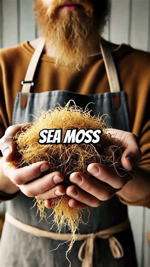 What really happens when you take Sea Moss every day? ✅ After 3 days → More energy ✅ After 1 week → Clearer, glowing skin (it fights acne-causing bacteria!) ✅ After 10 days → Better digestion & gut health ✅ After 14 days → Less joint & muscle pain ✅ By 2 weeks → Stronger immunity improved respiratory health This superfood is packed with over 90 essential minerals your body needs daily. 👉 Ready to feel the difference? Try our Sea Moss Capsules today: https://www.organicsnature.co/products/sea-mo