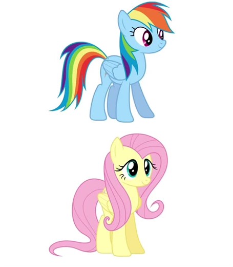 What If Rainbow Dash and Fluttershy Had a Child?