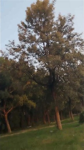 Horticulture and Gardening | D18-ECHS : plot for Sale #kbn #echs