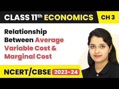 Class 11 Economics Chapter 3|Relationship Between Average Variable Cost & Marginal Cost