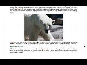 OpenStax Concepts of Biology 1.1 Introduction to Biology Themes and Concepts