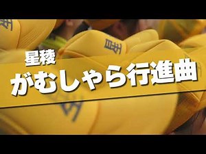 星稜 がむしゃら行進曲 応援歌 2019夏 第101回 高校野球選手権大会