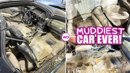 Deep cleaning the muddiest biohazard WS6 Firebird after flood damage