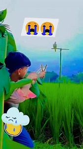 16M views · 202K reactions | Today the best post❤‍啕 .#shoaibpashteen...