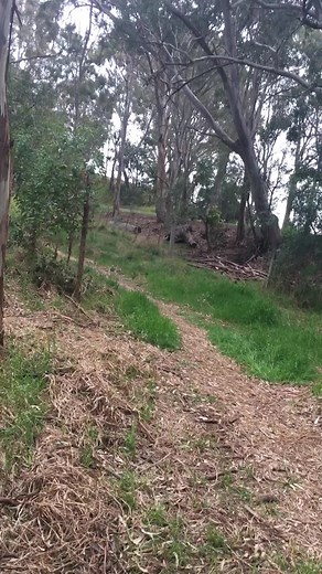 The_red_turtle (@therustyredturtle)’s videos with original sound - The_red_turtle