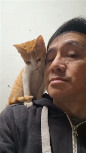 having some good time with little bob-bob 😌 ☺️ #dont_forget_to_like_and_subscribe #catsloveisforever