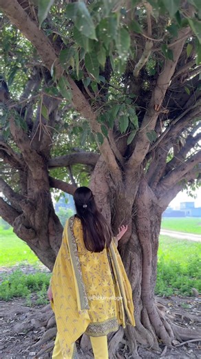 Explore the Charm of Punjab Villages