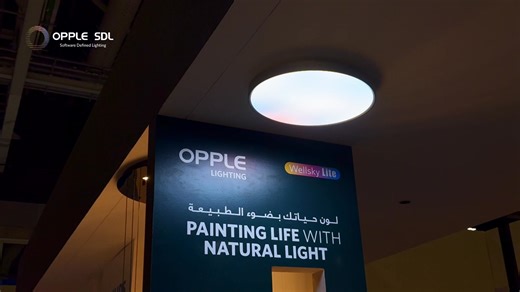 132K views · 203 reactions | Wellsky Lite Shines Bright in Oman  At...