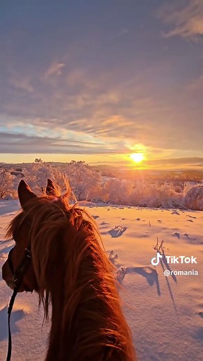Ready for a journey? In the wintered hills of Maramureș, horseback feels less like recreation and more like inheritance. Snow seals the land shut, silence thickens, and the sunset arrives like a benediction spilled carelessly across frozen slopes. From the saddle, you move through a Romania that predates urgency, where the cold sharpens the senses and the world seems to exhale only when you slow enough to notice. These hills have memory. Maramureș winters are not seasonal decorations but trials