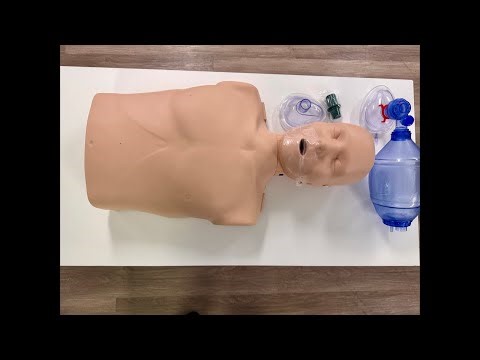 CPR/BLS Review