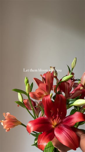 Lavender Diaries: Aesthetic Flower Collection