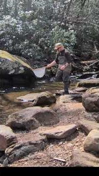 NC Rainbow Trout Fly Fishing