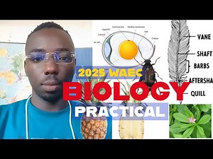 2025 WAEC Biology Practical Specimen Tutorial