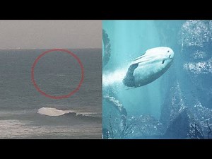 USO captured by a surf camera in Southern California 👽- UFO News - April 20, 2023 (🔴LIVE)