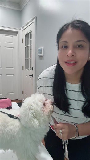 Segunda tarea del boot camp de un tal fredo 2. @Un Tal Fredo #bootcampuntalfredo2 #untalfredo #bootcampuntalfredo #novata