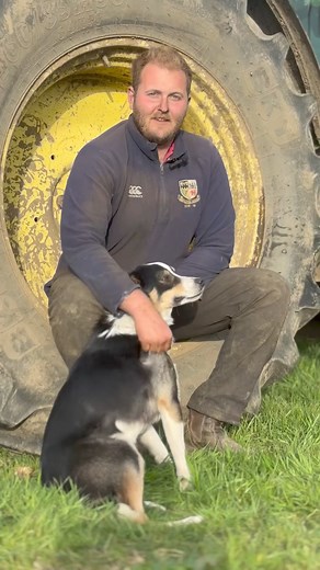 Ever wanted to sit in a tractor? 🚜 From our John Deere Tractor, our 1977 International to a HUGE combine harvester these are just a few of whats to come at our big machinery weekend! Tickets for Saturday 25th give you the opportunity to sit in the drivers seat...along with demonstrations carried out by our farmers & guided farm walking tours with farmer Tom 🍓 Tickets for Sunday 26th allow you to see a wide variety of farm machinery being showcased and our farmers will be on hand to answer any 