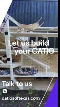 Why A Catio is An Ultimate Gift For Your Cat