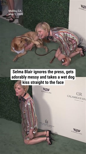 Selma Blair ignores the press, gets adorably messy and takes a wet dog kiss straight to the face