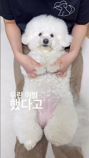 Love? What is that? It's just money and bugs...