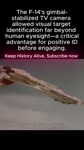 F-14 TV Camera: Visual ID FAR Beyond Human Eyes. Gimbal-Stabilized. WIDE Field Of View.