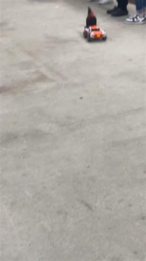 Wayne County Agriculture Fair 2025