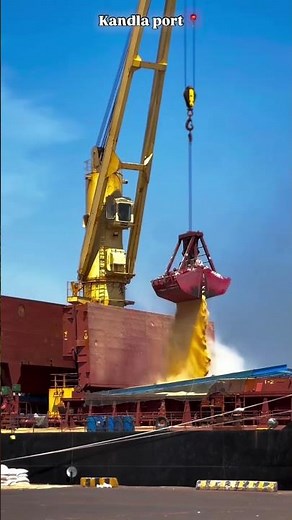 World’s Largest Cargo Ship Unloading Process: 100,000 Tons Grain Carrier Explained | #CargoShip