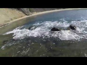 Striped Perch and Rock Fish at Martin's Beach Mon, Nov 12, 2018 Part I