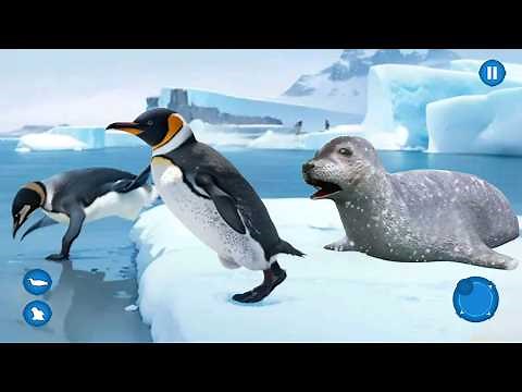 Arctic Penguin Life Simulator - Penguin Life Games - Android Gameplay HD
